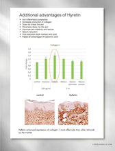 Load image into Gallery viewer, LORDE + BELLE : Mini Repair Serum