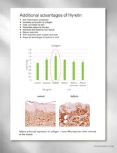 Load image into Gallery viewer, LORDE + BELLE : Repair Serum