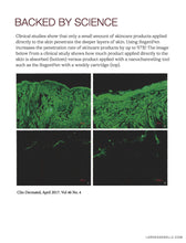 Load image into Gallery viewer, LORDE + BELLE : RegenPen™️