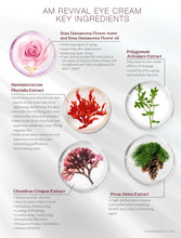 Load image into Gallery viewer, LORDE + BELLE : AM Revival Eye Cream