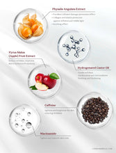 Load image into Gallery viewer, LORDE + BELLE : AM Revival Eye Cream