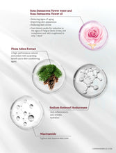 Load image into Gallery viewer, LORDE + BELLE : PM Restorative Eye Cream